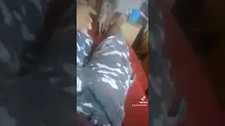 Мурка манюня