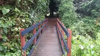 Gentle Rain (Outside Edition)