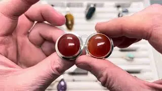 🌺 САМОЦВЕТЫ СО ВСЕГО СВЕТА 🎁 19.03.2024 г.