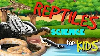 Reptiles | Science for Kids