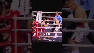 Chihuahua Cruz 