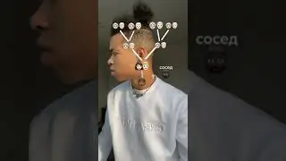 семейное дерево