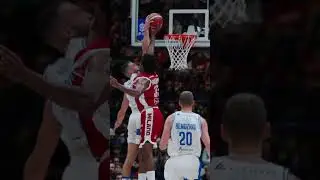 McCormack vs Sassari