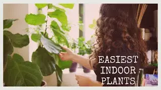 Easy House Plants to Bring you Joy, not Anxiety (Calm Voiceover)