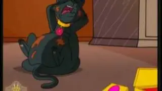 Salem Weight Gain