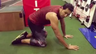 Mobility Exercise: Lower Back & Thoracic Back Stretch Cat Cow