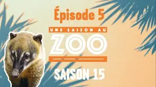 Des nouvelles des coatis (S15E05) [INTEGRAL]