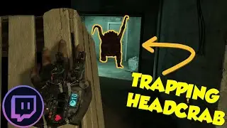 The Great Headcrab Hunt -- Half-Life: Alyx -- Twitch Highlights #1