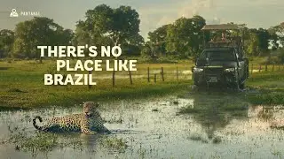 There's no place like Brazil