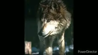 18 декабря 2021 г.