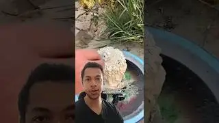 Você conhece esse material para remoção de tinta? Decapante de tinta