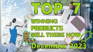 Wefulfil Top Winning Products