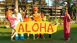 A mystery in Hawaii