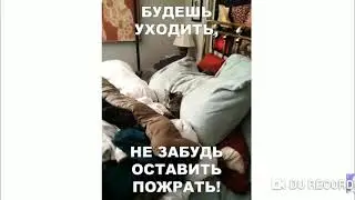 V2 Макс Максимов