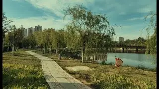 上班路过的公园，景色不错，推荐来看看