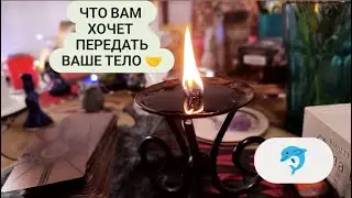 ПОСЛАНИЕ ОТ ВАШЕГО ТЕЛА 🐬🤝ОНЛАЙН ТАРО РАСКЛАД.