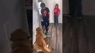Dog Did Not Recognize Him😂