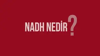 NADH Nedir?