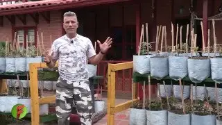 Hidroponía Industrial