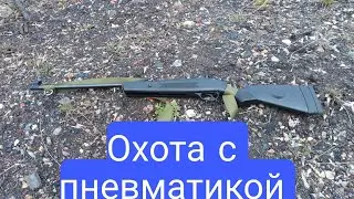 Охота с пневматикой