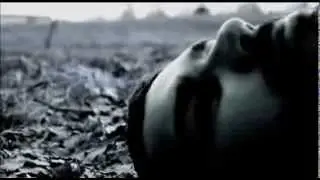 CETI - The Wolves