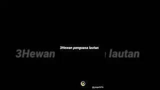 jangan main main sama hewan lautan ini nanti lu di makan tau rasa lu 🖕