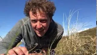 Jochem Myjer vindt een brief van de Grijze Gorgel