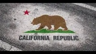 What are California's Traffic Laws?