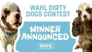 AMERICA’S NEW TOP DOG IS… COOKIE!
