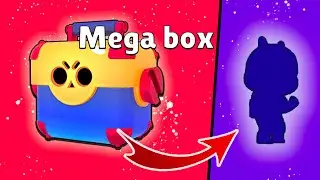 THE BEST LUCKY?! - Brawl Stars 😱😍😍