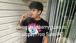 Reviewing strawberry guava vs glass slipper by suite 443￼