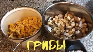 Новая лаундж зона, зимний водопровод, Ева занята, светильник и поход за лисичками