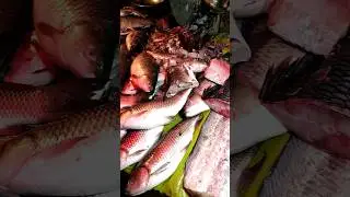 Fish cutting #shorts #food #youtubeshorts #shortsfeed