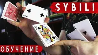 CORRECT SYBIL CUT! / TRAINING