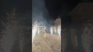 Яркая свадьба #невеста #жених #свадьба #праздник #белгород #video #like #ярко #ведущий #огни #лайк