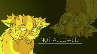 Not Allowed || Animation meme