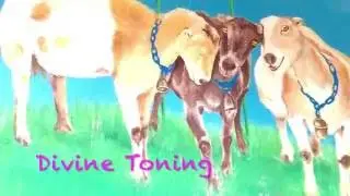 Goats in trance by the Crystal Tones® Alchemy Bowls 水晶缽, Yogoata Dairy Farm, 2016.07