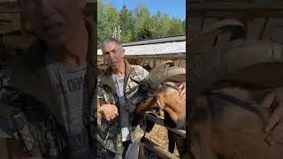 Где ваша совесть?  