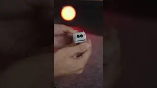 Tabi neden olmasın ? 🙃  #photography