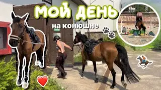vlog: мой день на конюшне | первая конкурная тренировка | КСК Левадия - НКП Русь