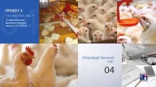 Бизнес ИТ - Информационные технологии для лидеров