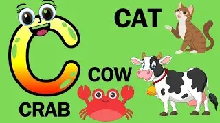 Learn Words with Letter C : Cat, Cow, Car, and Crab Adventures