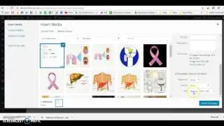 How to Change the Wordpress Post Image Sizes (Thumbnail, Medium and Large)