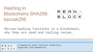 Hashing in Blockchains (SHA256. keccak256)