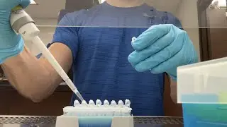 DNA Extraction from Fungal Plate
