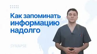Anki | как забыть о забывании
