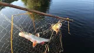 FINALLY A GOOD CATCH! I FISH WITH SCREEN NETS!