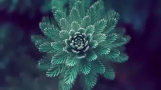 Arizona - I Was Wrong (Rift Remix)