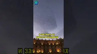 Скворцы 