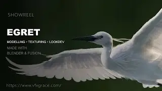 Explore the Detailed Egret 3D Model | Blender Rigging & Animation Showcase by VFX Grace #blender3d